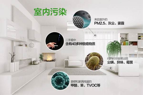 健康环保水性木器漆